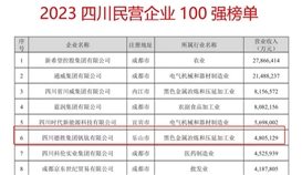 连续六年！2026世界杯（中国区）官方中文网站-Officia
上榜“四川民营企业100强”