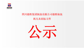 四川2026世界杯（中国区）官方中文网站-Officia
钒钛有限公司德胜钒钛 机头灰招标文件